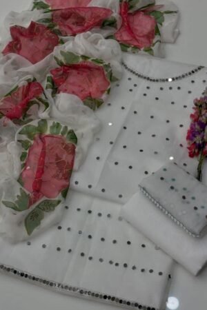 Luxury Mirror Work Organza 3-Piece Ensemble