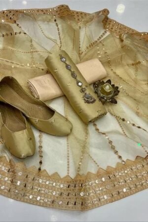 Fancy Organza 9mm Embroidered 3PC Suit with Khussa